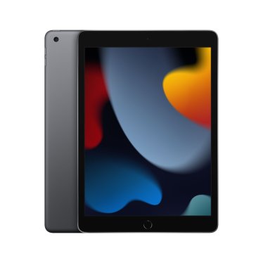 Apple 10,2-inch iPad 2021 (256GB / WiFi) - spacegrijs